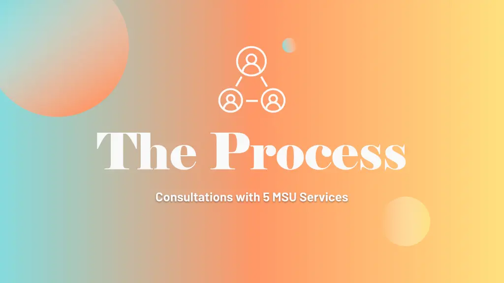 the process consultations with 5 msu services