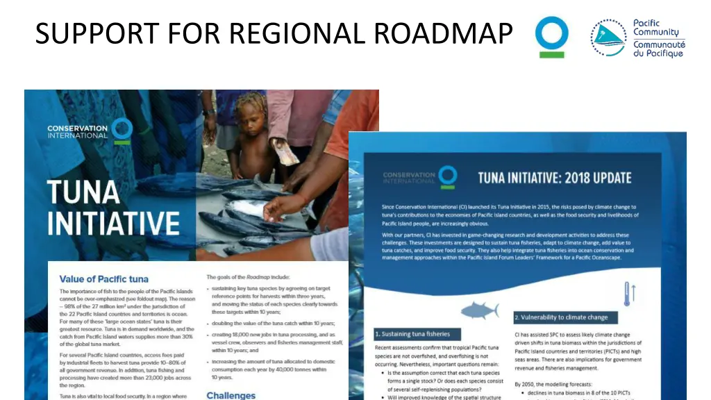 support for regional roadmap