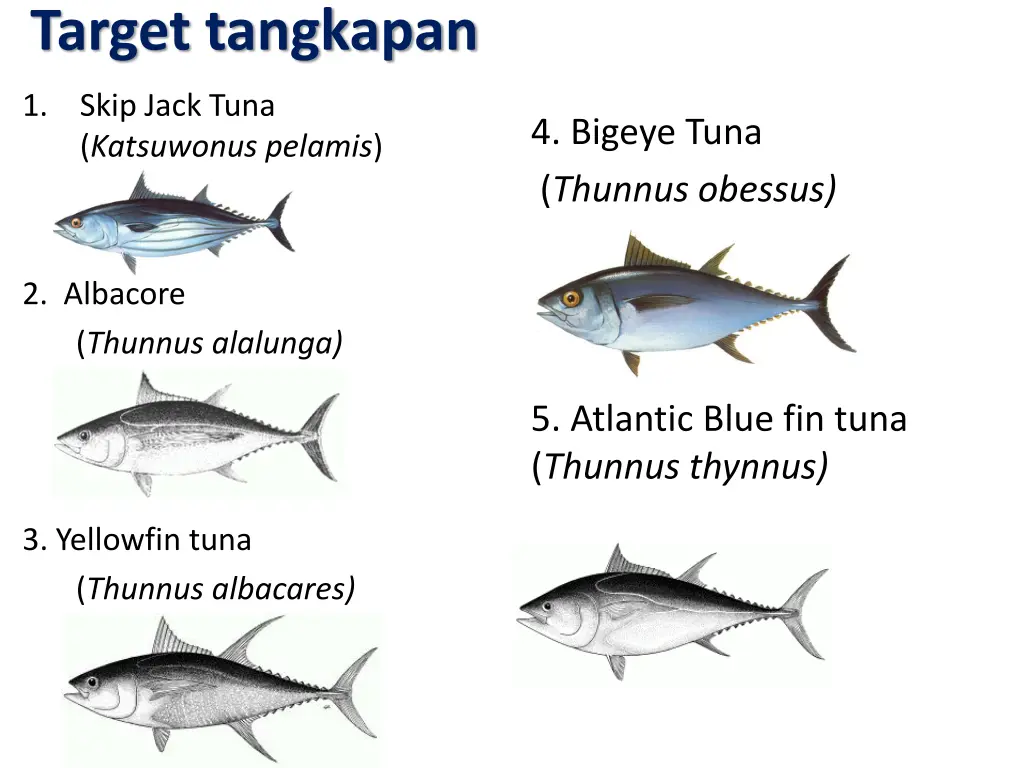 target tangkapan