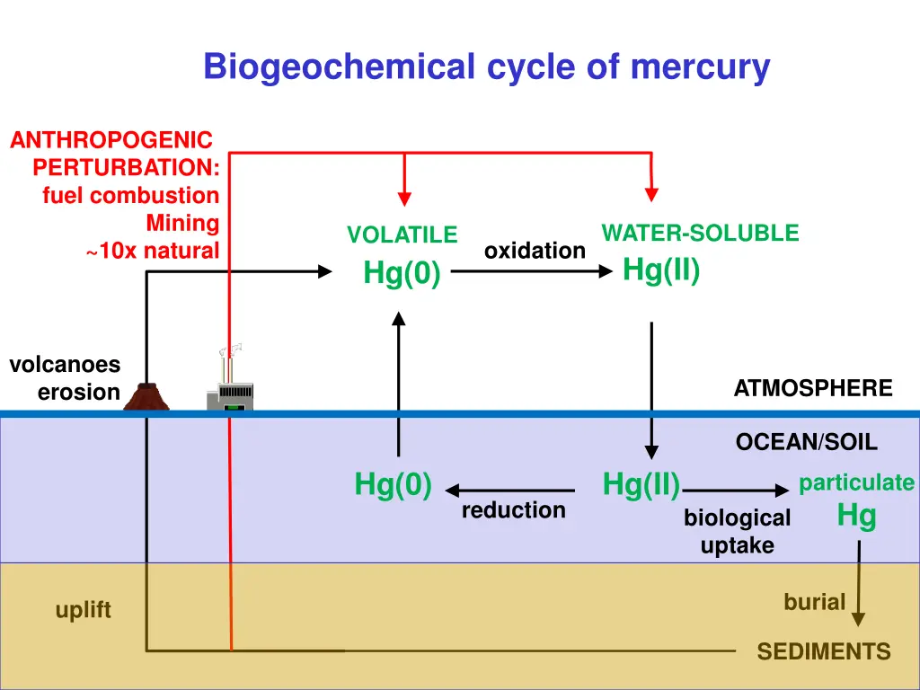 biogeochemical cycle of mercury