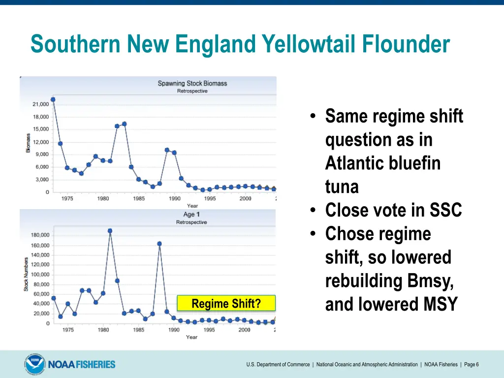 southern new england yellowtail flounder