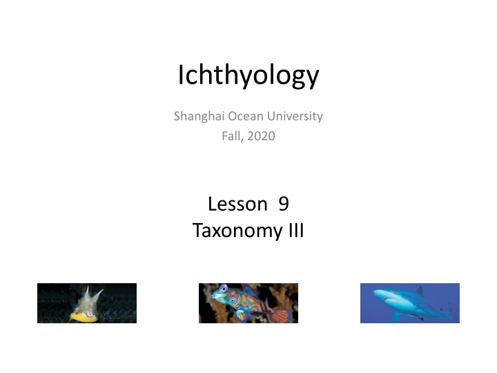 ichthyology