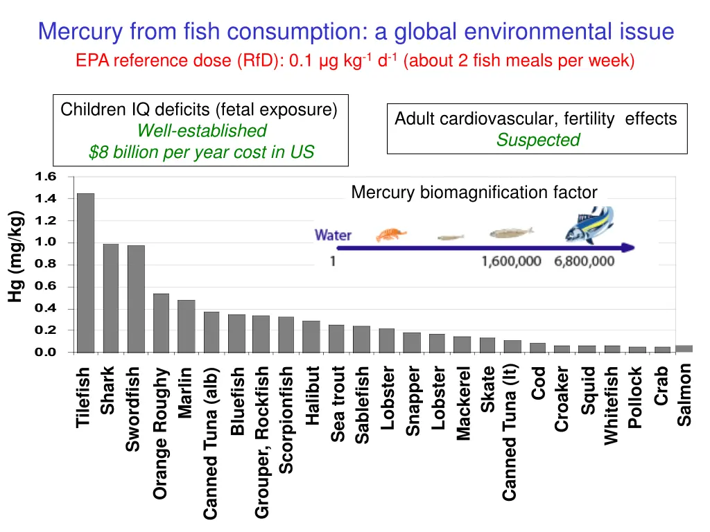 mercury from fish consumption a global