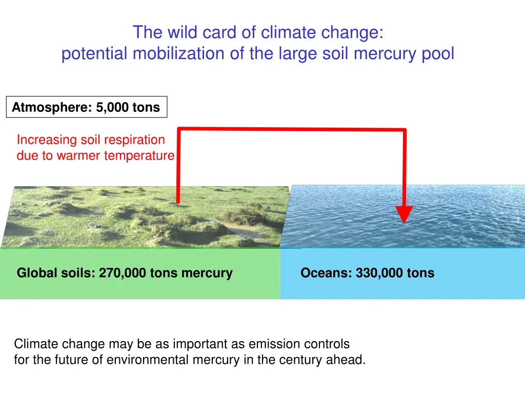 the wild card of climate change potential