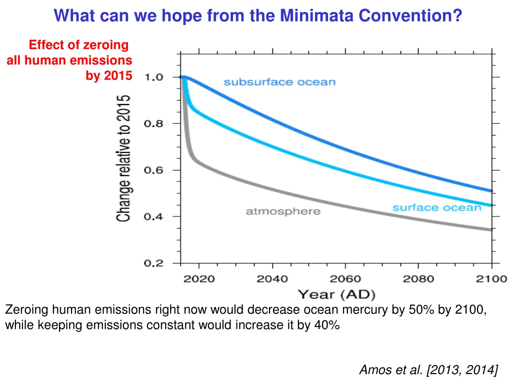 what can we hope from the minimata convention