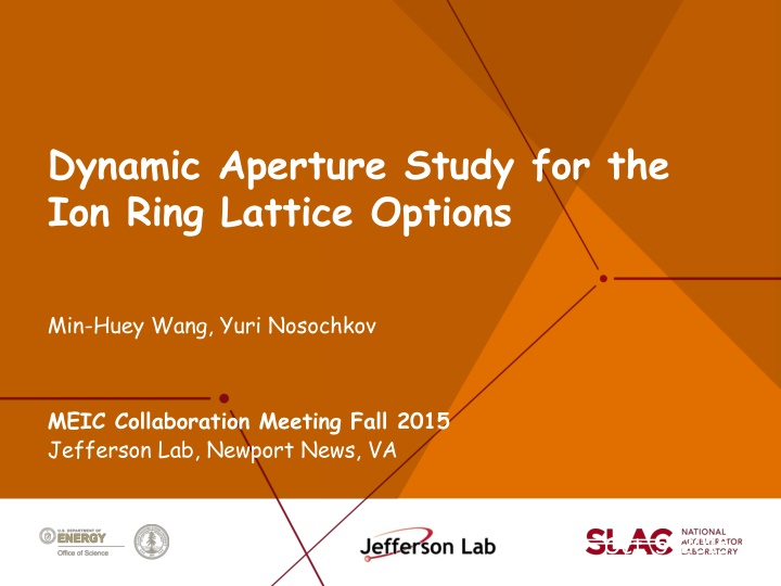 dynamic aperture study for the ion ring lattice