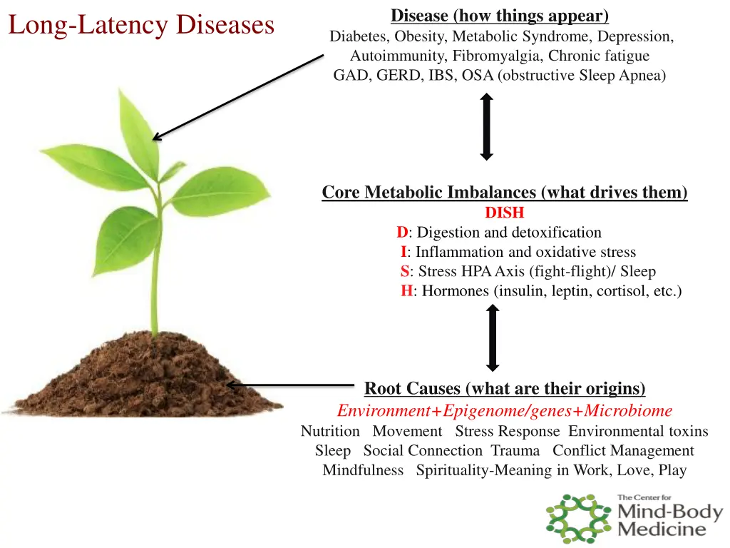 disease how things appear diabetes obesity