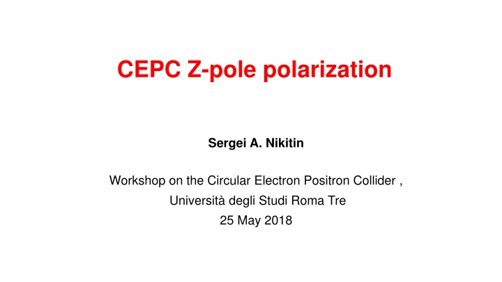 cepc z pole polarization