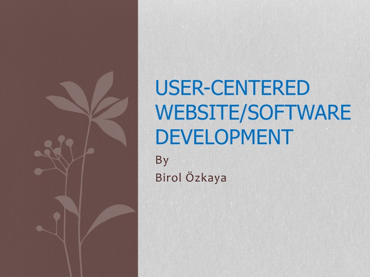 user centered website software development