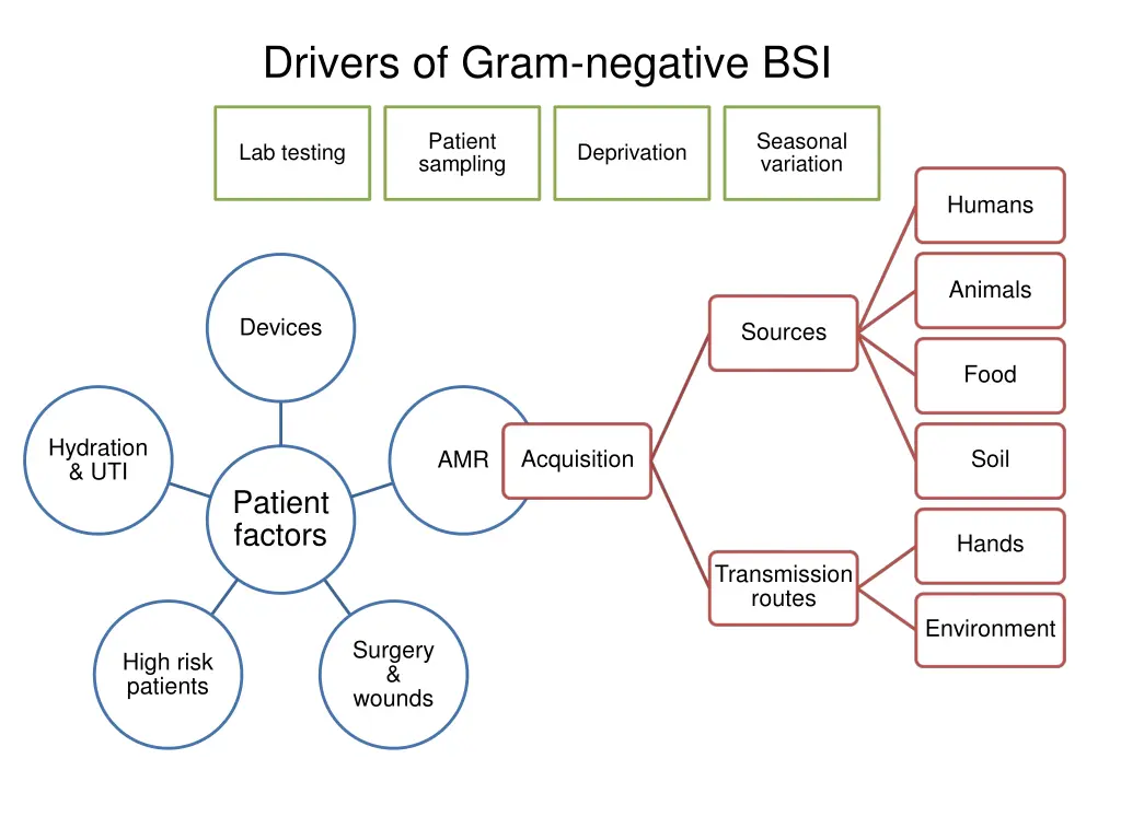 drivers of gram negative bsi 1