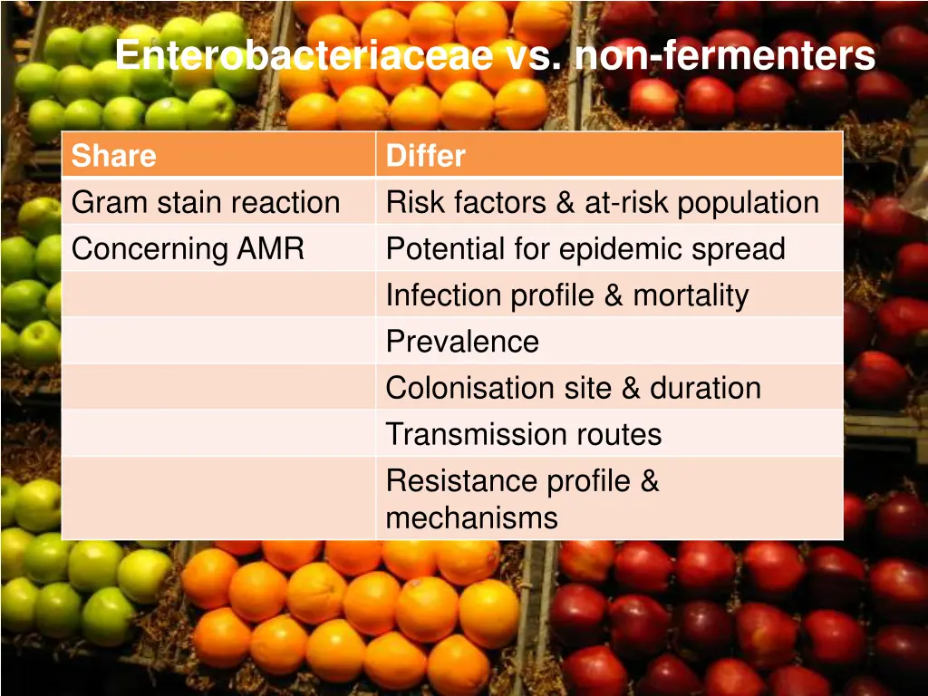 enterobacteriaceae vs non fermenters