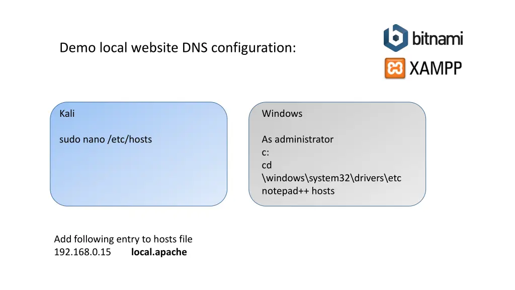 demo local website dns configuration