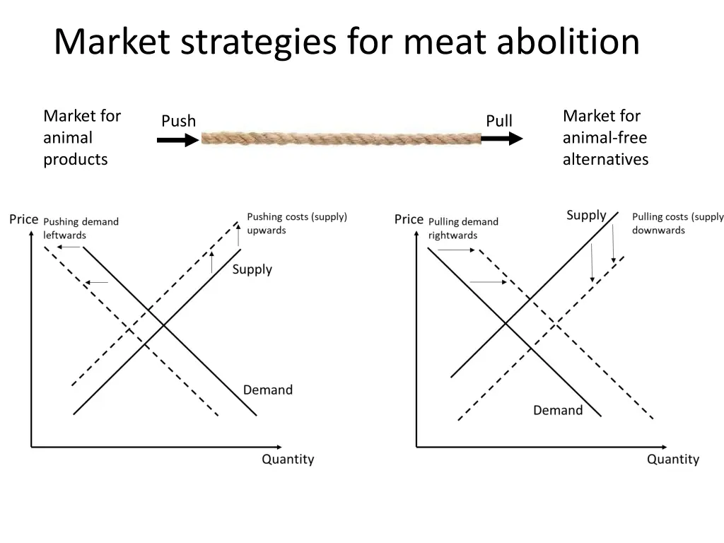 market strategies for meat abolition 2