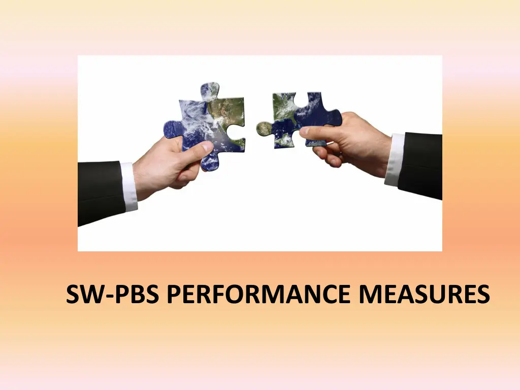 sw pbs performance measures