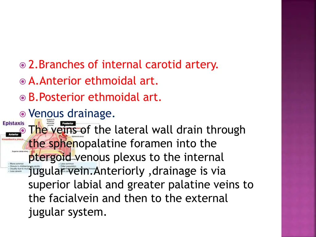 2 branches of internal carotid artery a anterior