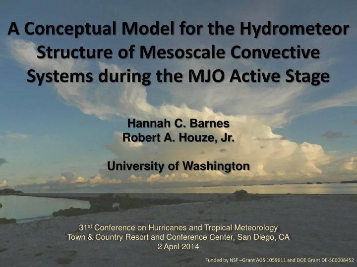 a conceptual model for the hydrometeor structure