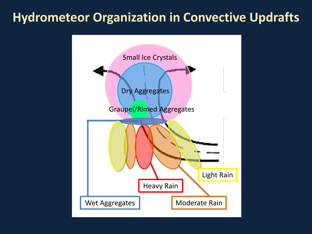 hydrometeor organization in convective updrafts