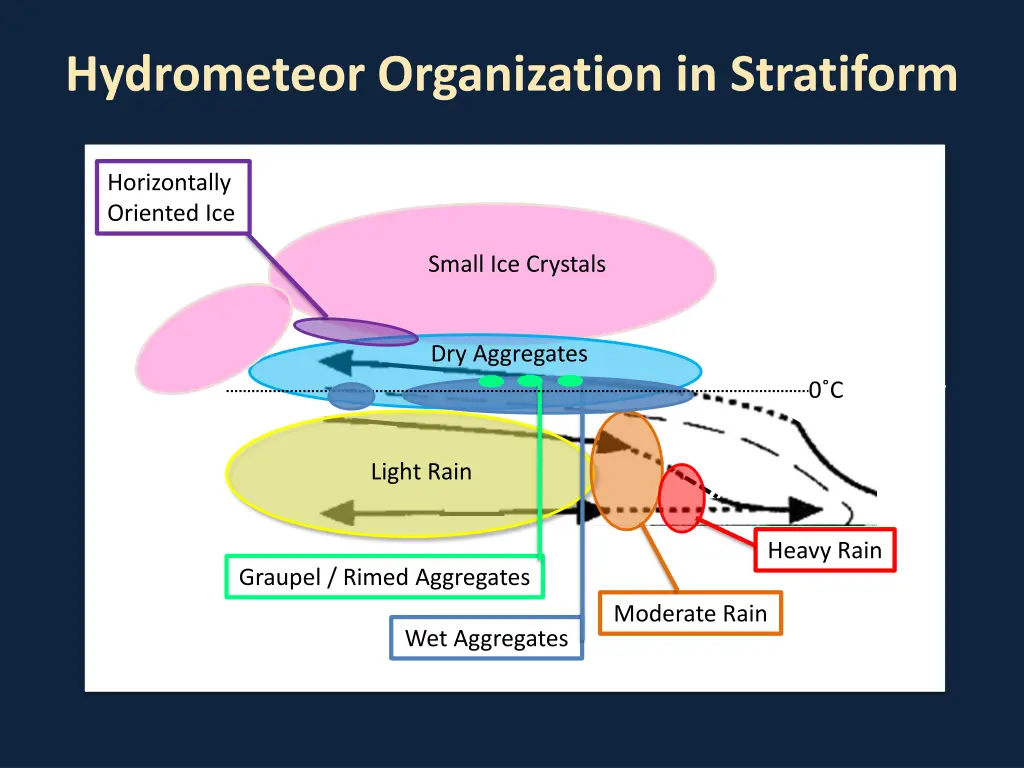 hydrometeor organization in stratiform