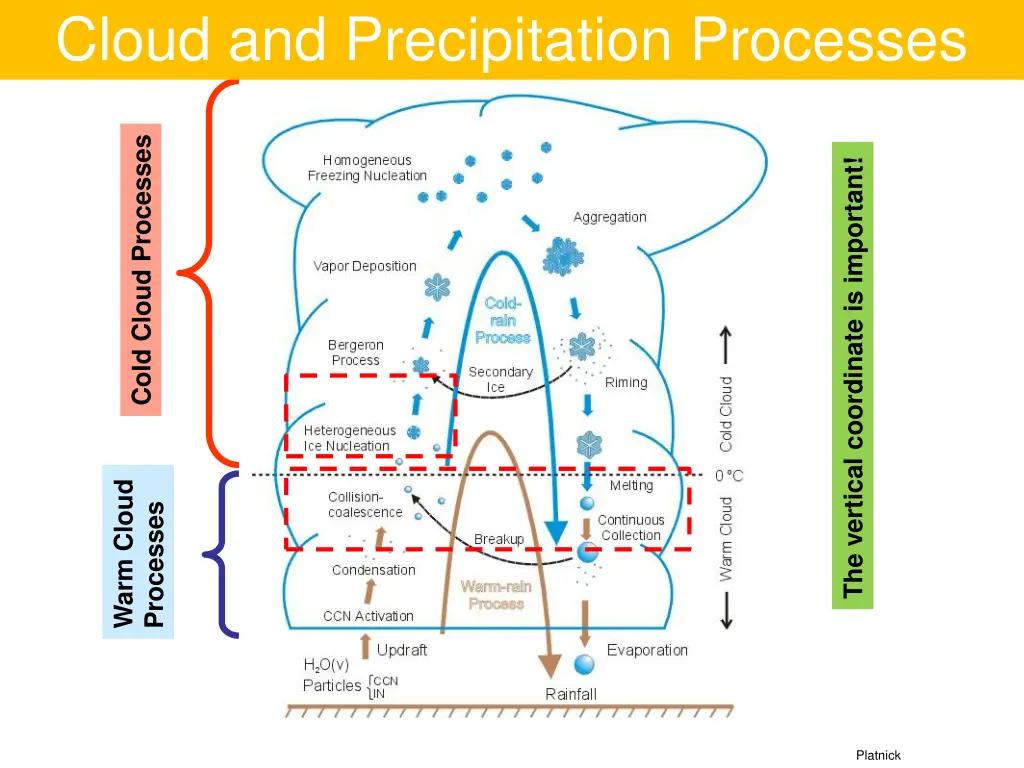 cloud and precipitation processes