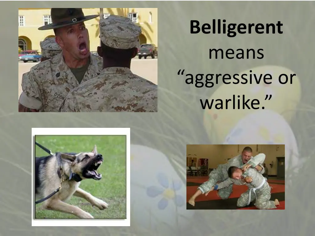 belligerent means aggressive or warlike