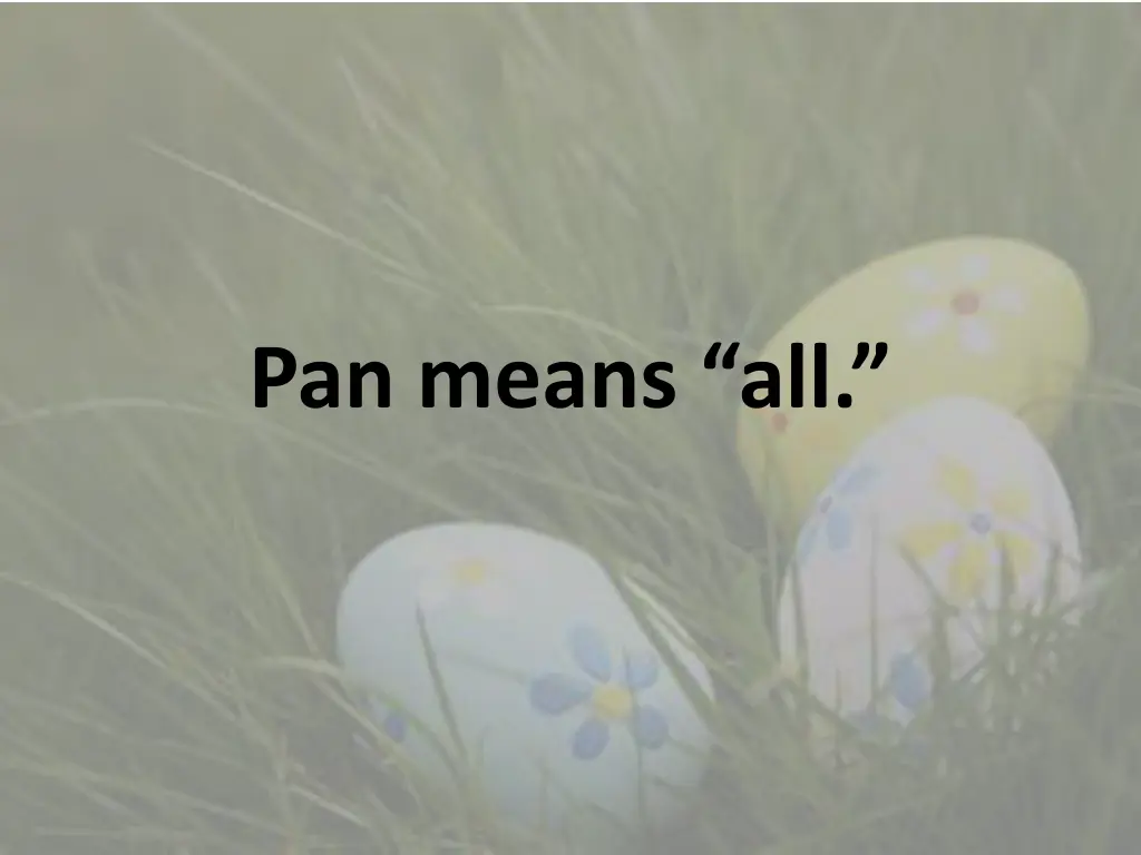 pan means all