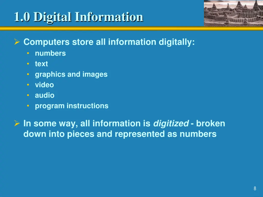 1 0 digital information