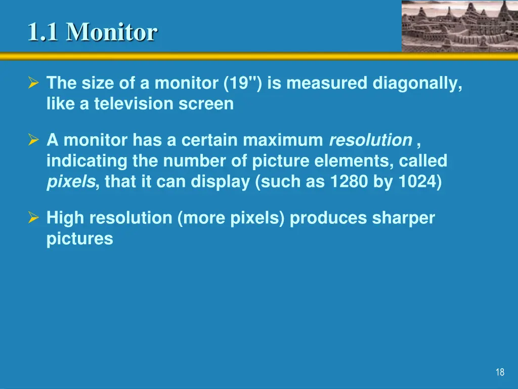 1 1 monitor