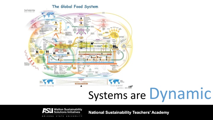 systems are dynamic