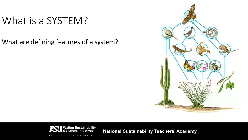 what is a system