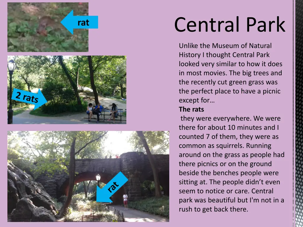 central park