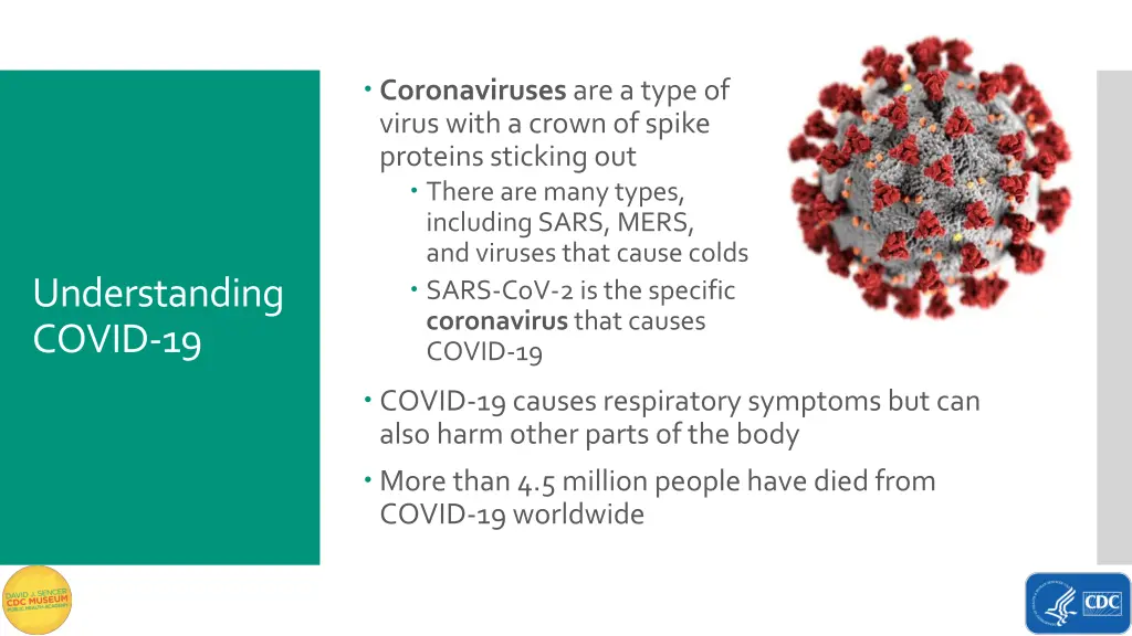 coronaviruses are a type of virus with a crown