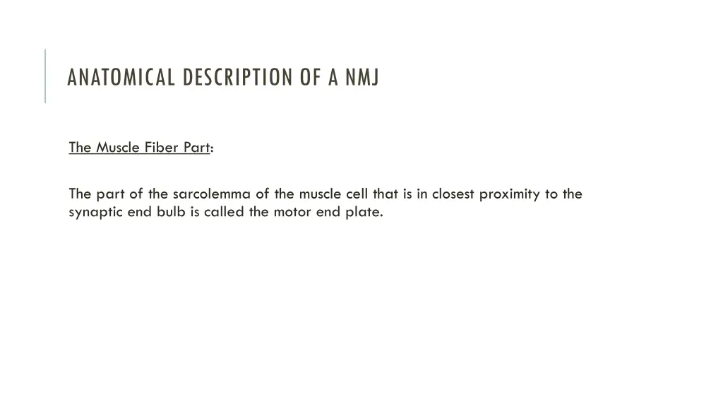 anatomical description of a nmj 1