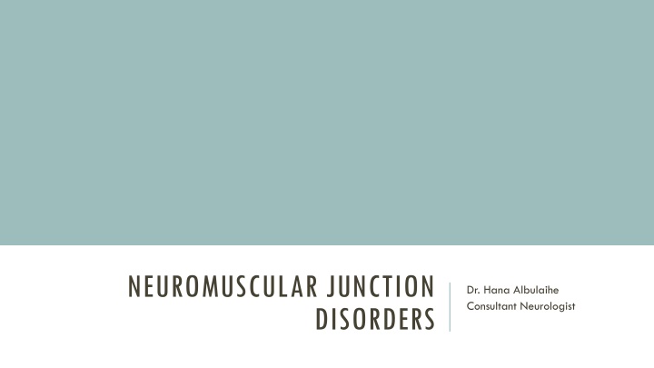 neuromuscular junction