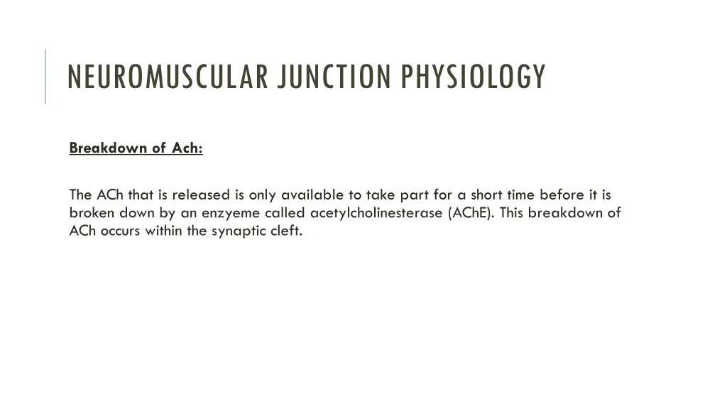 neuromuscular junction physiology 2