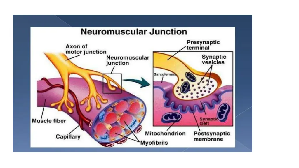 slide6