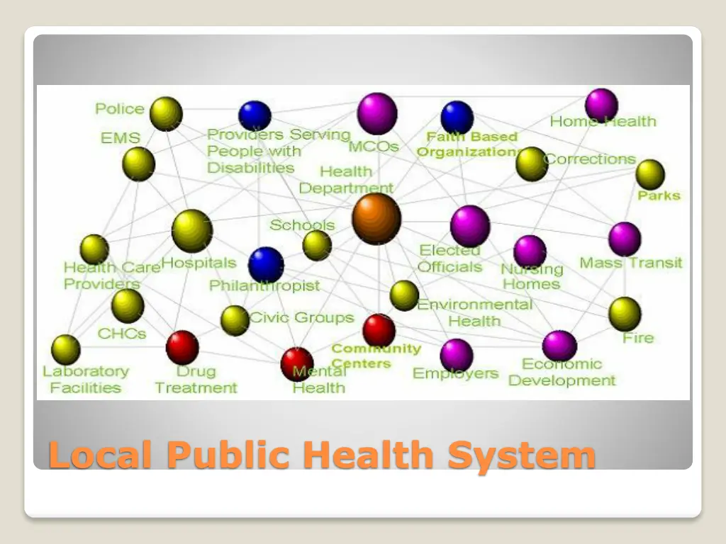 local public health system