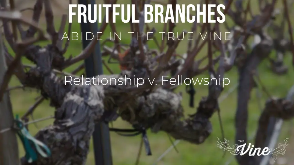 abide in the true vine