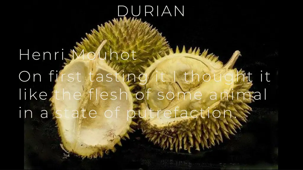 durian