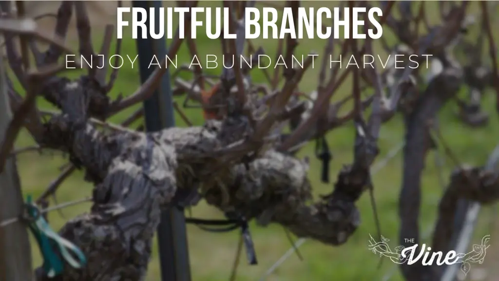 enjoy an abundant harvest