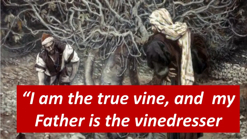 i am the true vine and my father