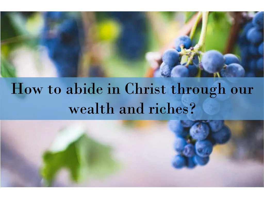 how to abide in christ through our wealth