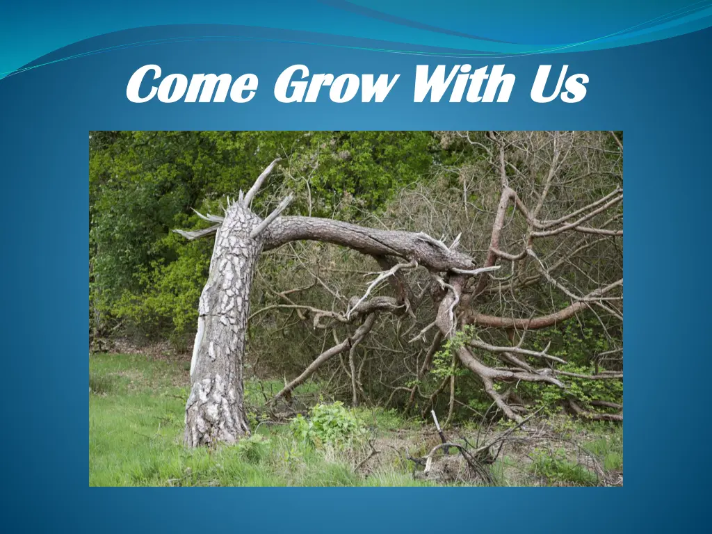 come grow with us come grow with us 6