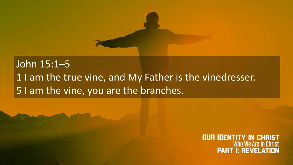 john 15 1 5 1 i am the true vine and my father