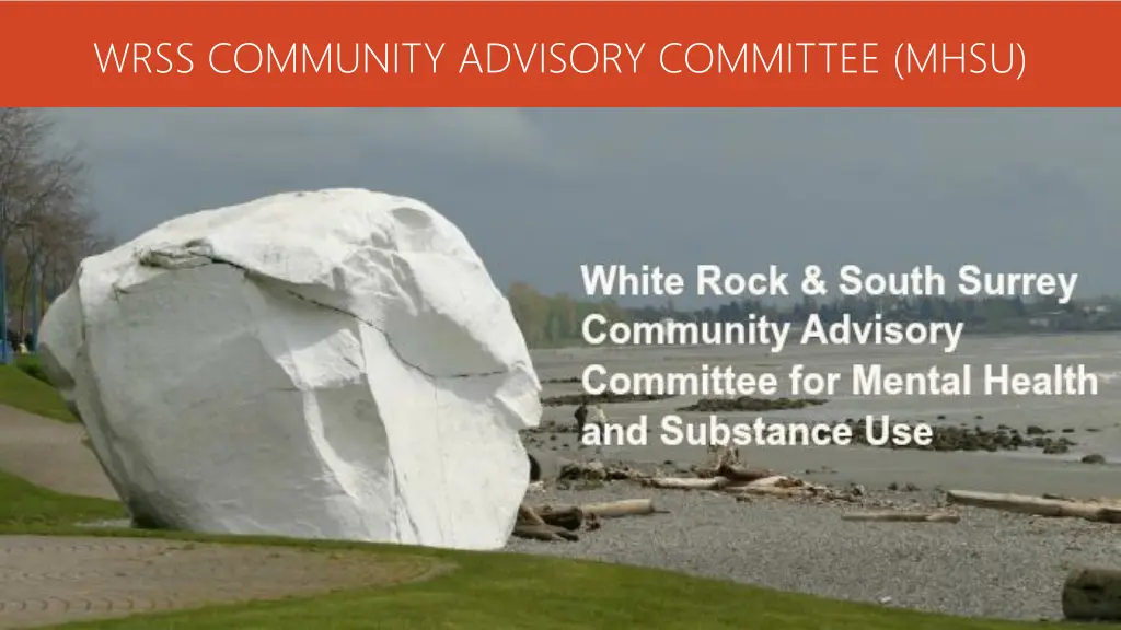 wrss community advisory committee mhsu