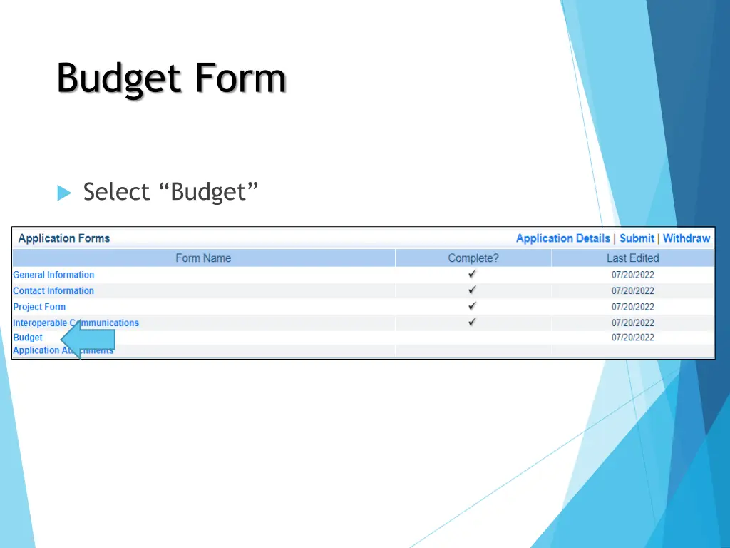 budget form