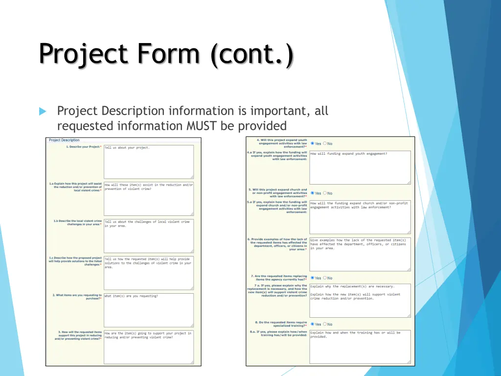 project form cont