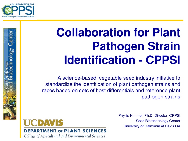 collaboration for plant pathogen strain