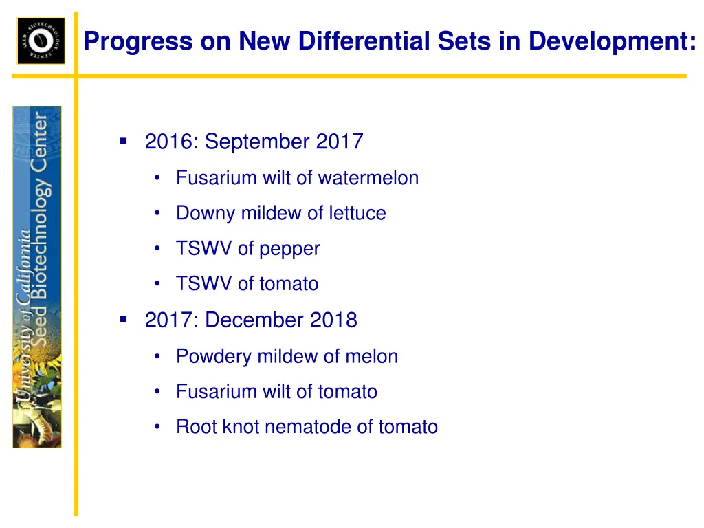 progress on new differential sets in development