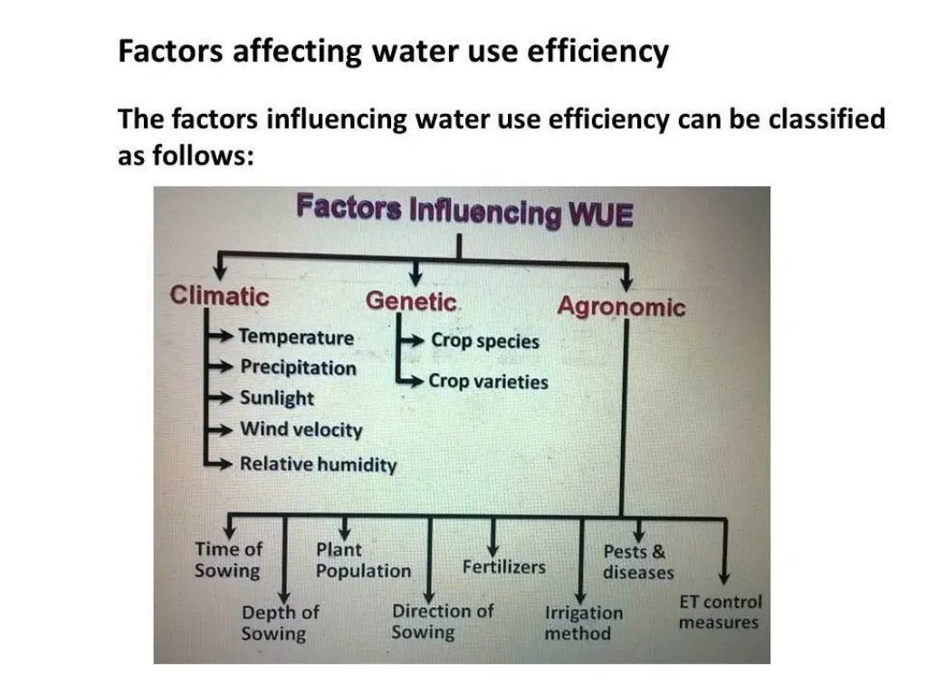 factors affecting water use efficiency