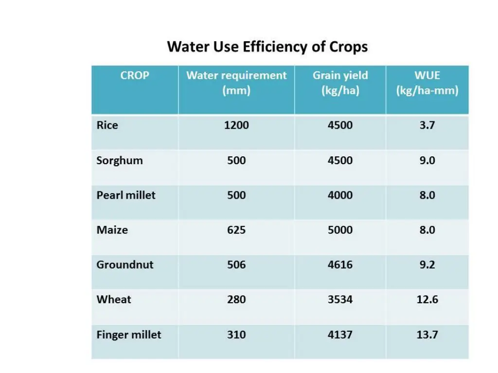 water use efficiency of crops